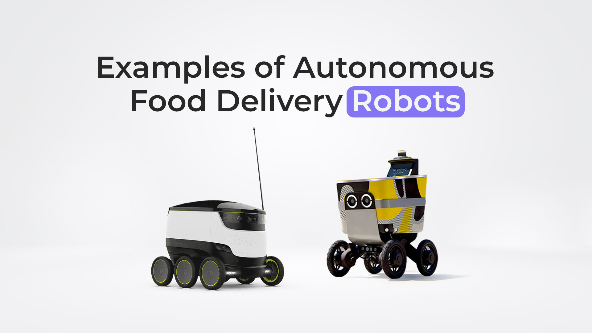 Food delivery robots examples