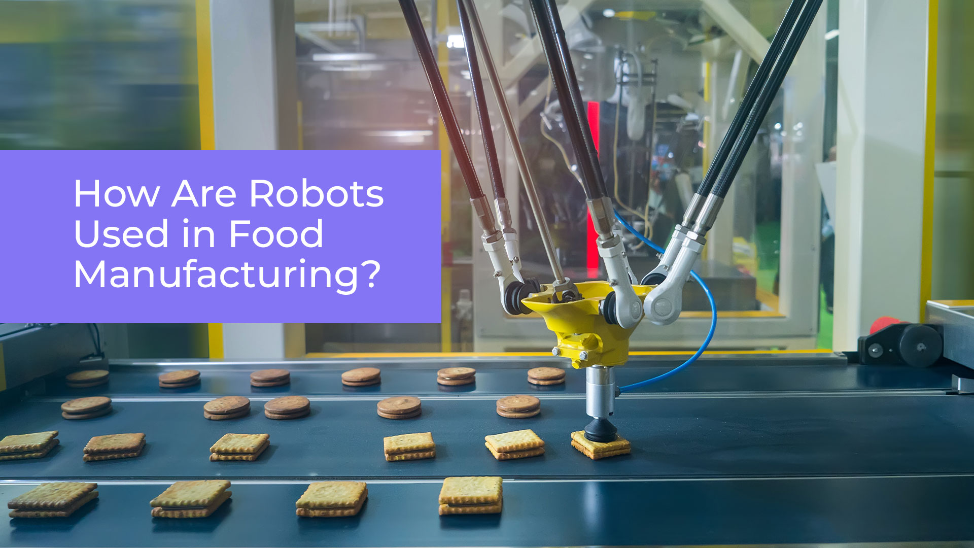 robots used in food manufacturing
