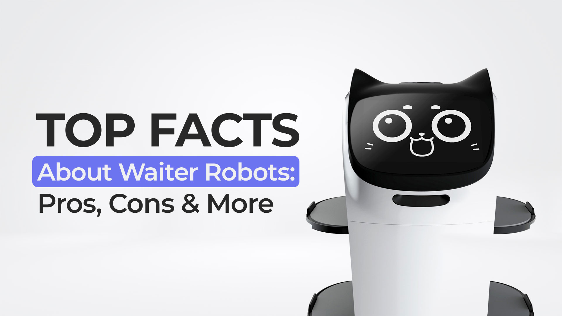 facts about waiter robots