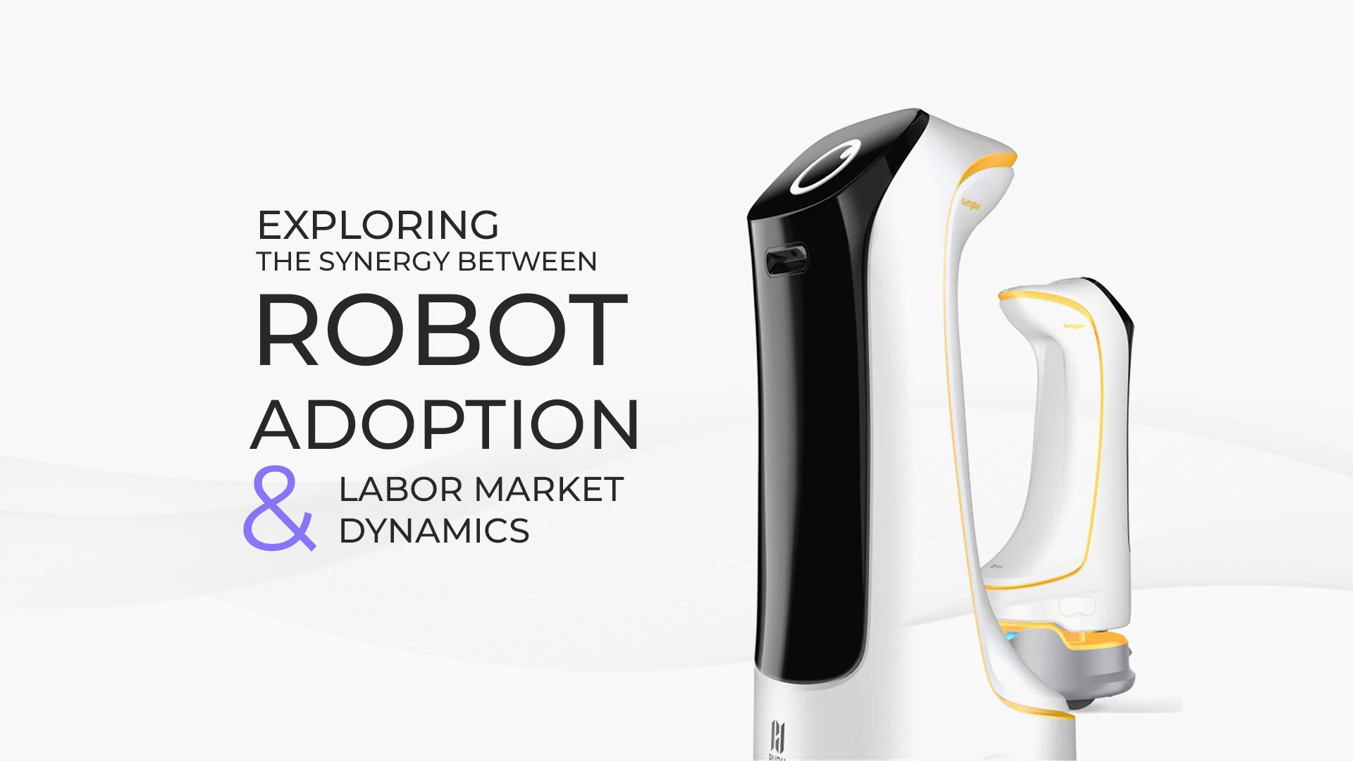 robot adoption and labor market dynamics